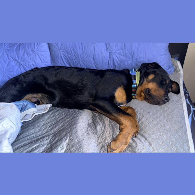Photo of Chase