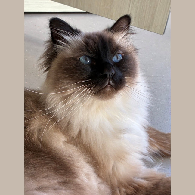 Photo of C1628 Jasper
