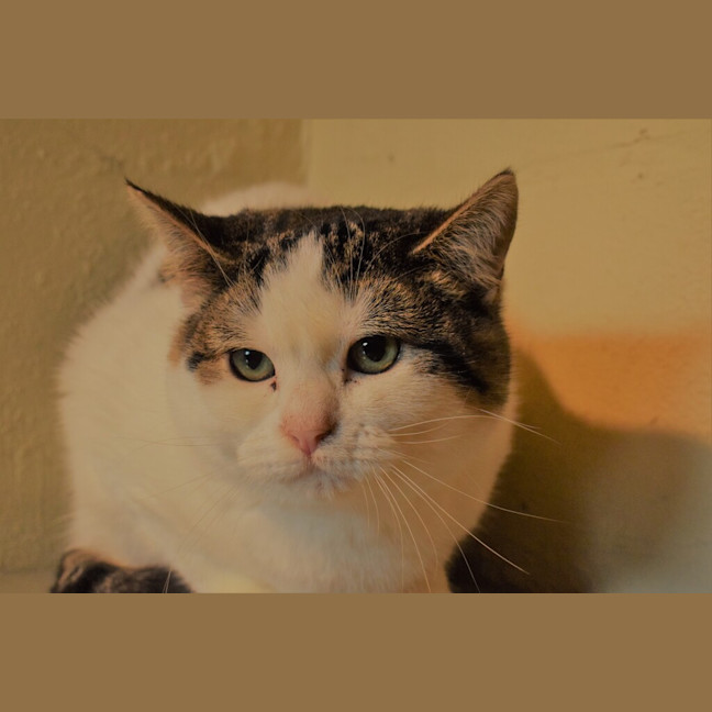 Photo of Brandee