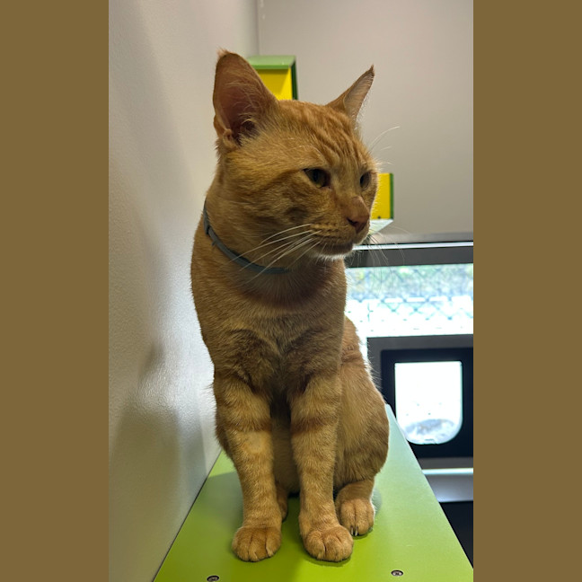 Photo of Arlo
