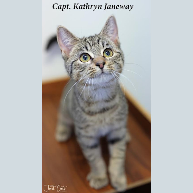 Photo of Capt. Kathryn Janeway