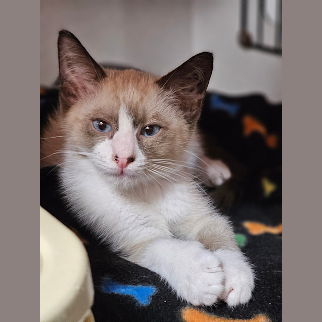 Photo of Spice