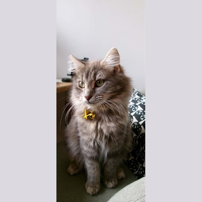 Photo of Matilda