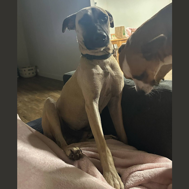 Photo of Marcel (Max)