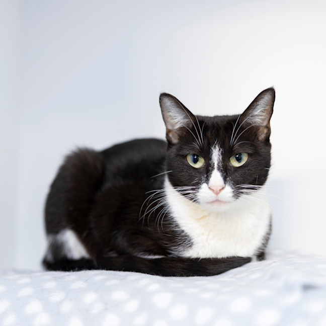 Photo of Lady Macbeth