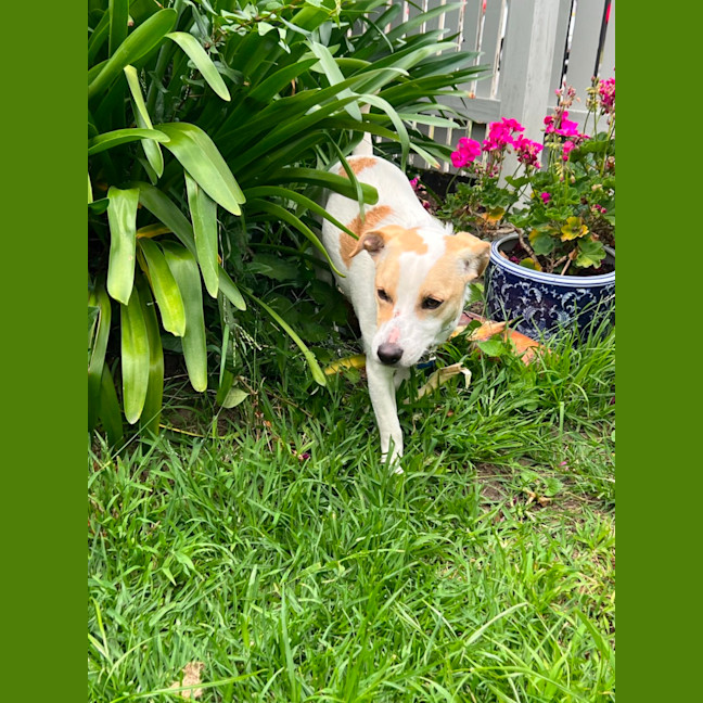 Photo of Bonnie Jrt