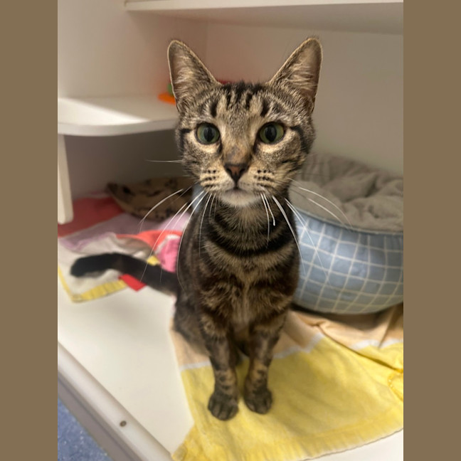 Photo of Tiny