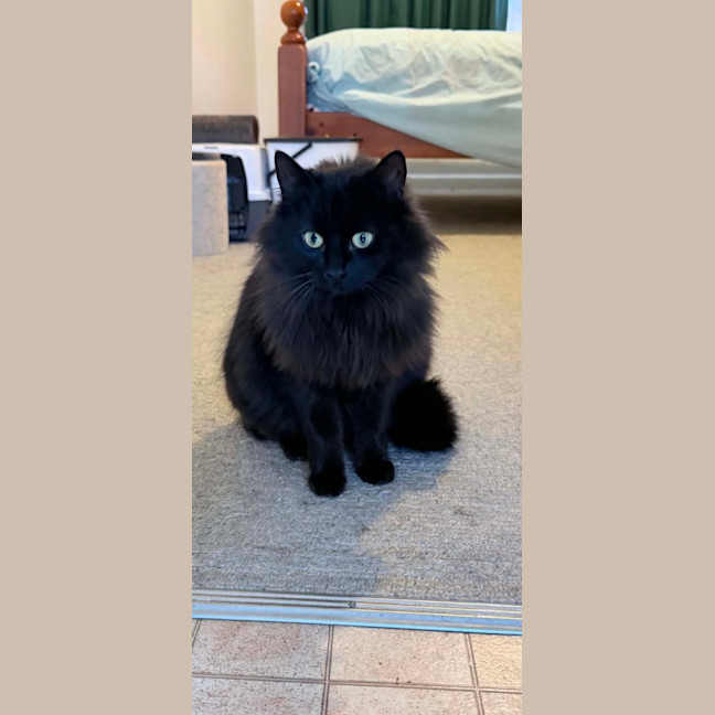Photo of Dee