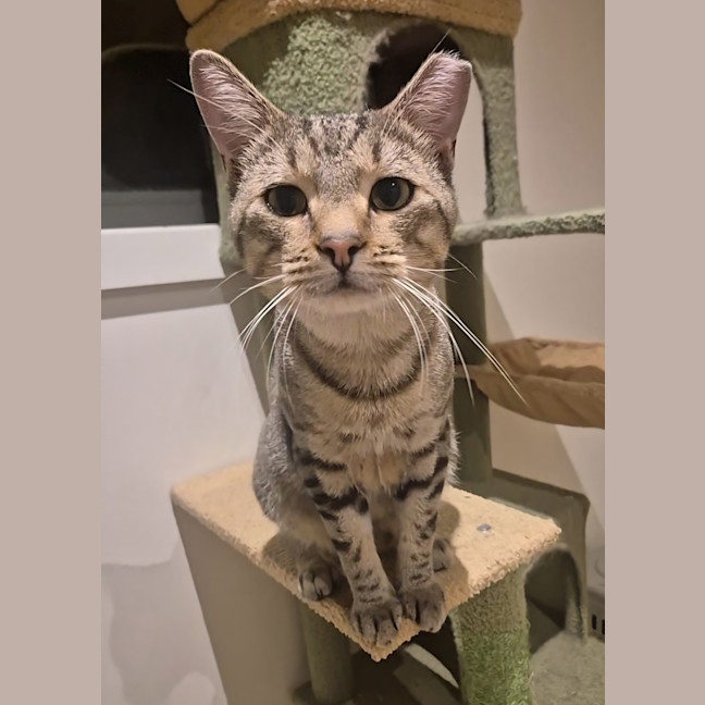 Photo of Sammy