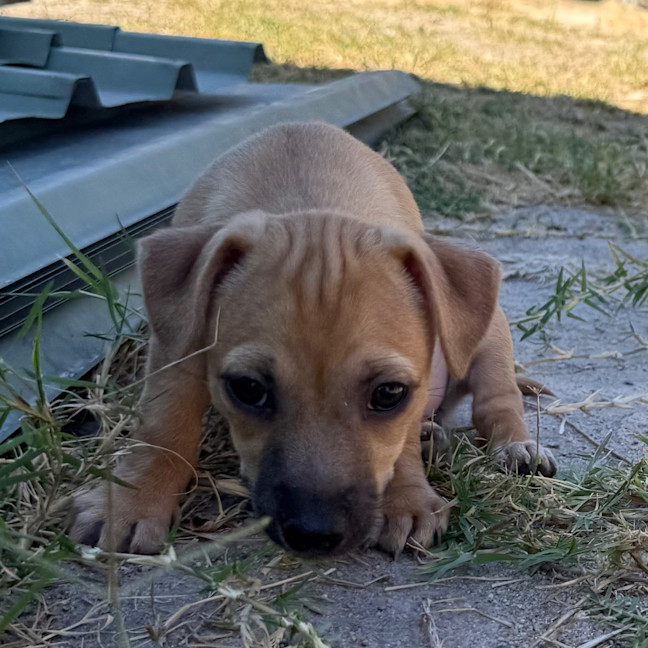 Photo of Milly