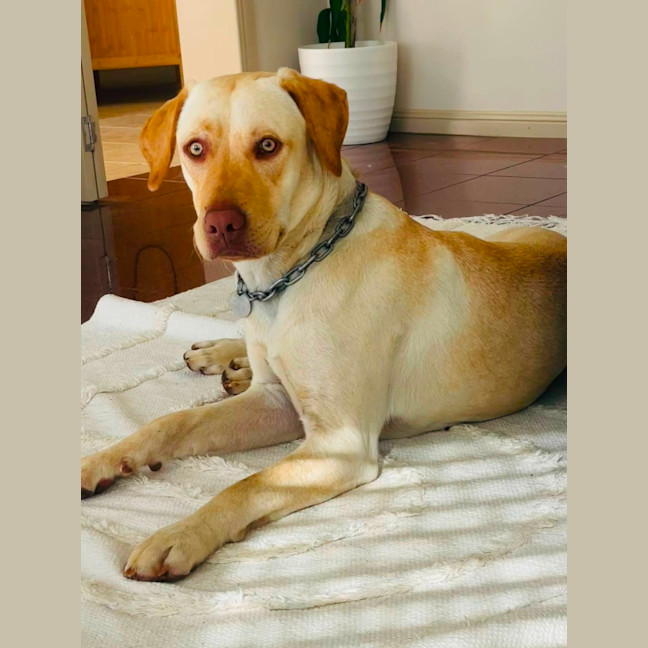 Photo of Bingo