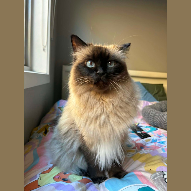 Photo of Bella