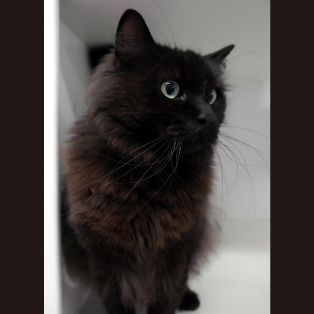 Photo of Lockie Sua015043