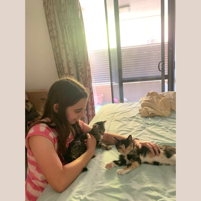 Photo of Licketty Split