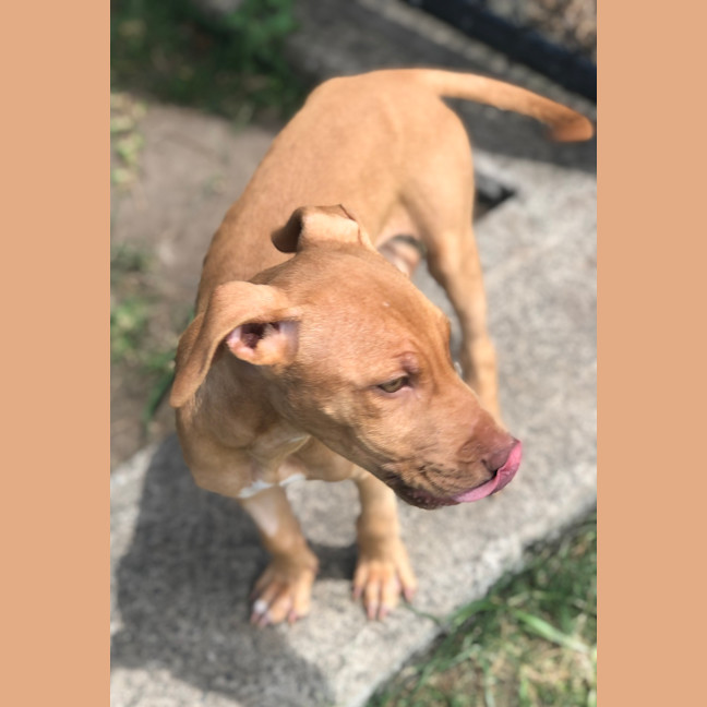 Photo of Lulu