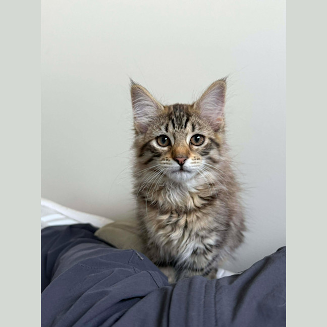 Photo of Jive
