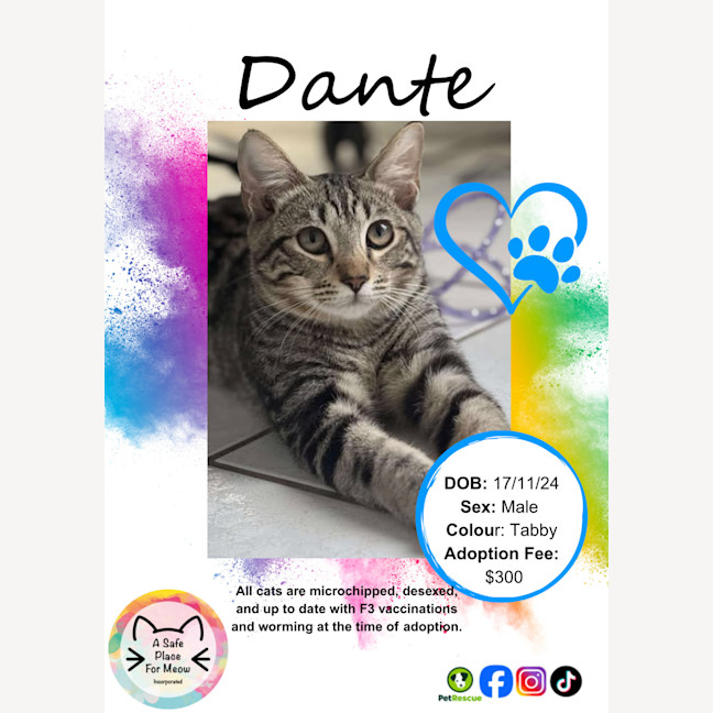 Photo of Dante