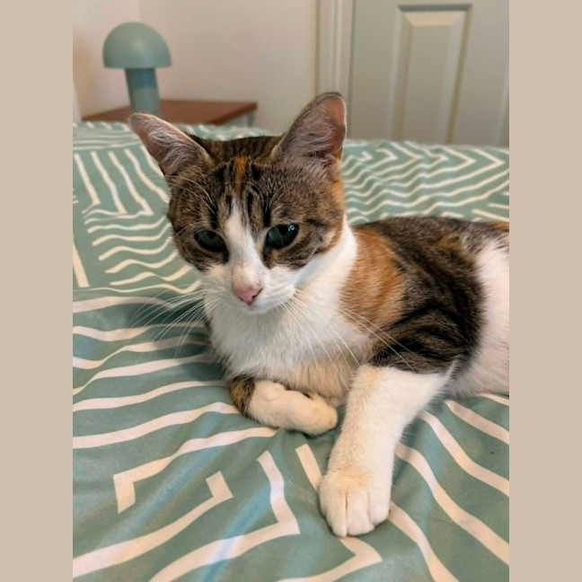 Photo of Lucy