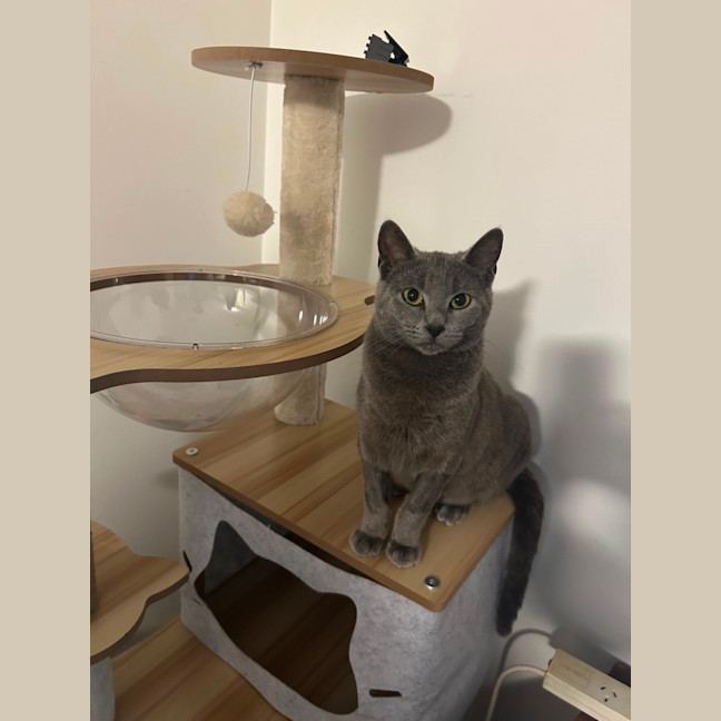 Photo of Penelope Puff