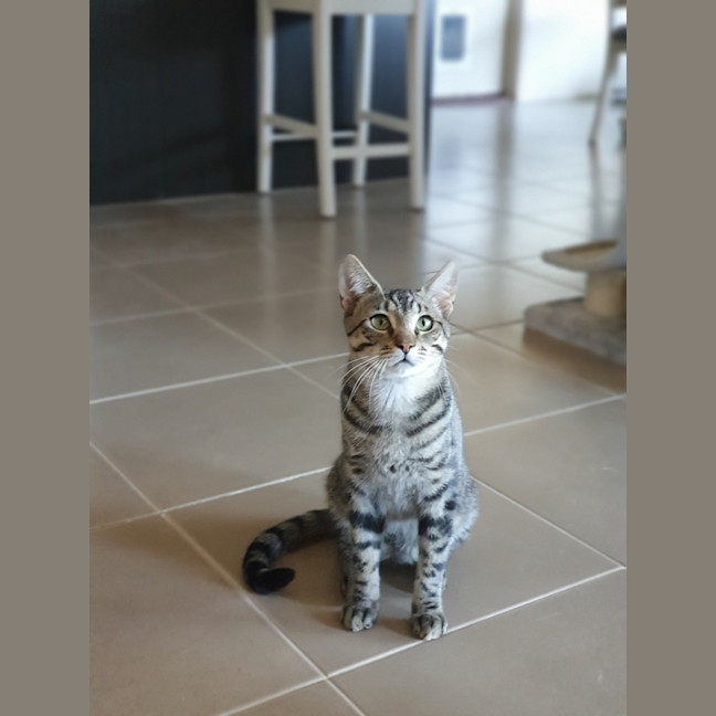 Photo of Willy Moriarty