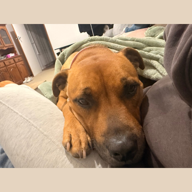 Photo of Zara