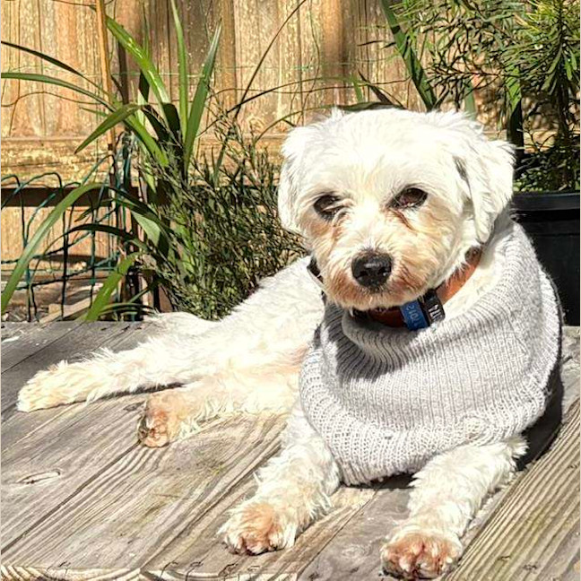 Photo of Sophie