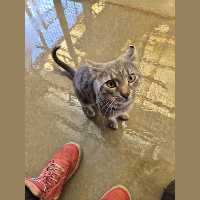 Photo of Draco! 🎩