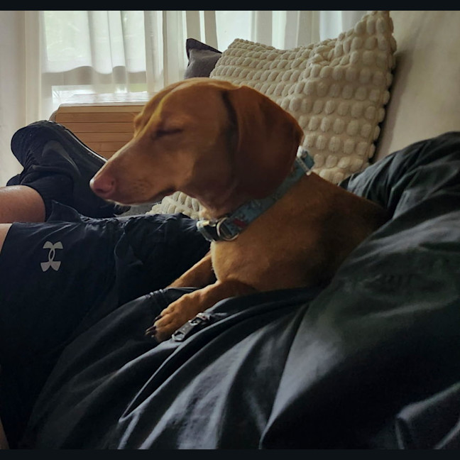 Photo of Oscar