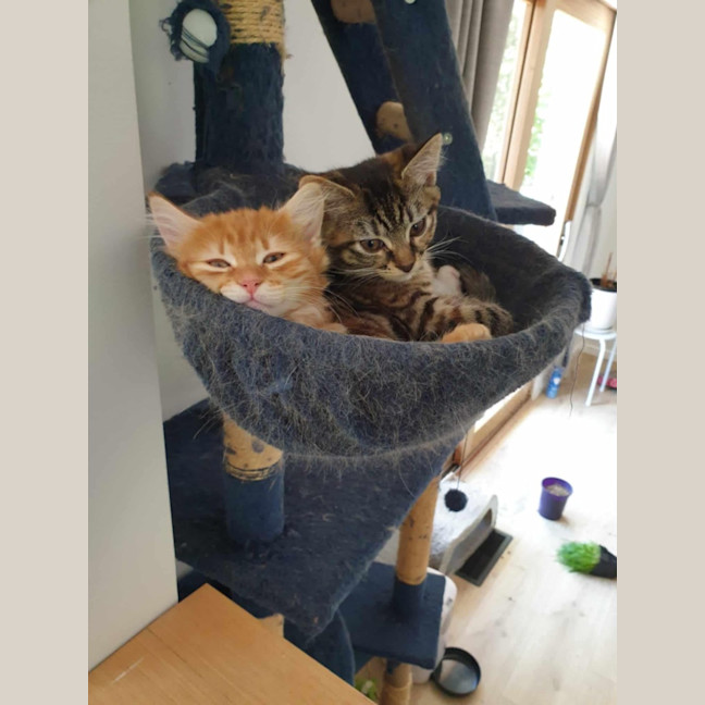 Photo of Edwina Biscuits