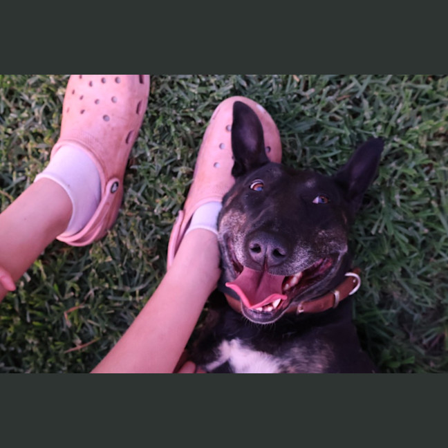 Photo of Josie