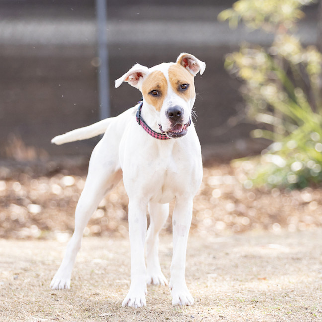 Photo of Marnie