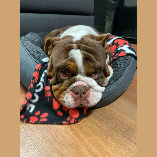 Photo of Frank