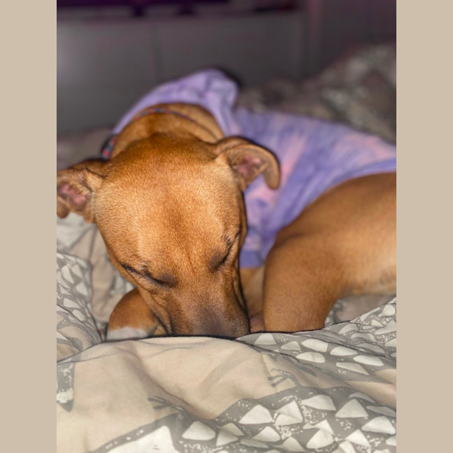 Photo of Rinleigh