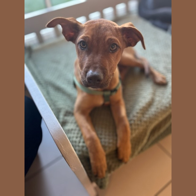 Photo of Salsa