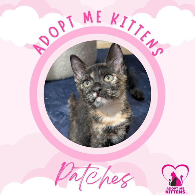 Photo of Patches 2