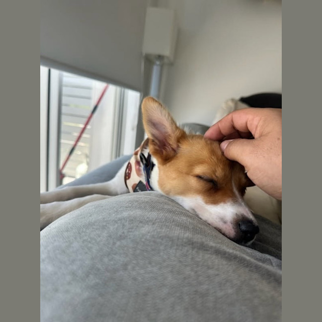 Photo of Sadie