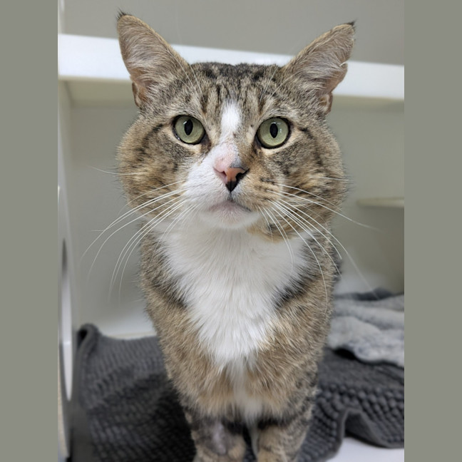 Photo of 😽 Jerome 6752 😽