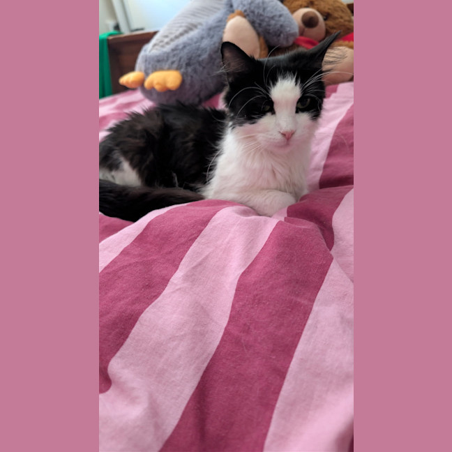 Photo of Miss Biccies