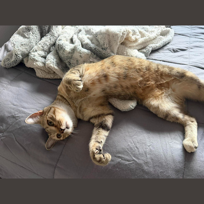 Photo of Matilda
