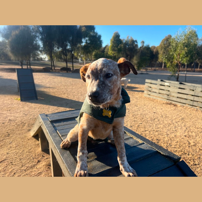 Photo of Mason