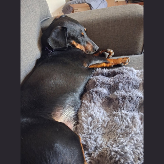 Photo of Sargent And Major