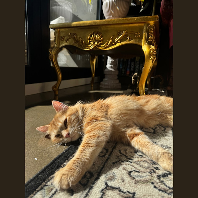 Photo of Sweet Paprika