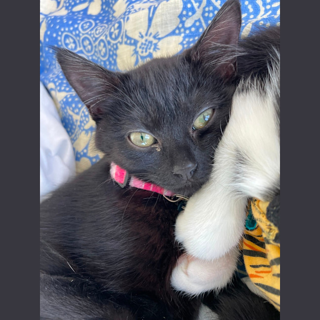 Photo of Bonnie