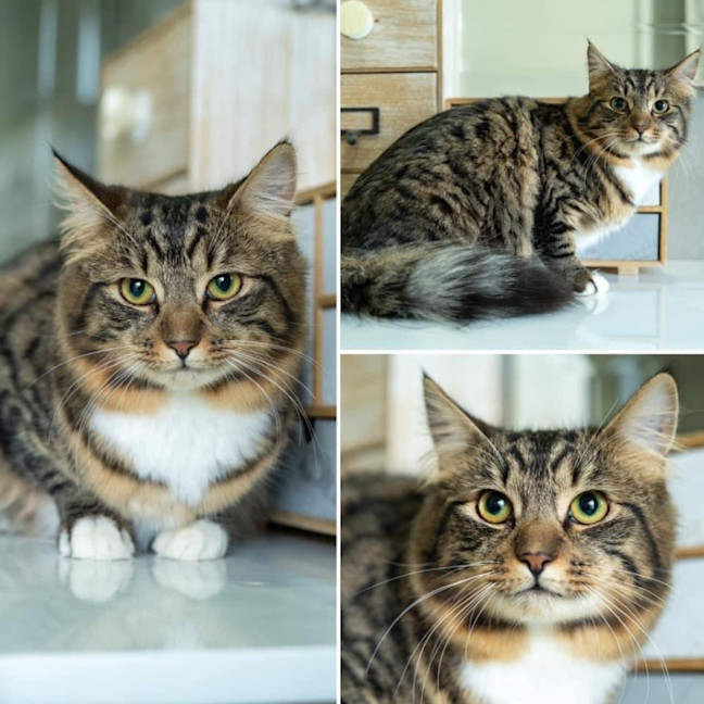 Photo of 10624   Fuzzy