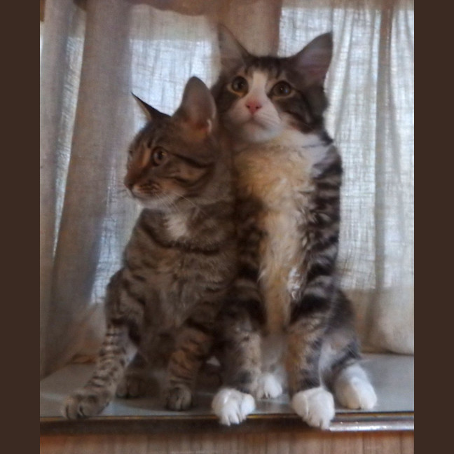 Photo of Hershey And Moses