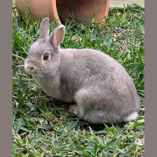 Photo of Lil Milky