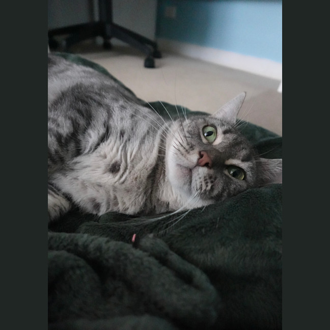 Photo of Kiara