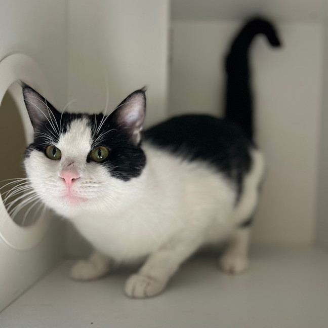 Photo of Marvin Van Middelkoop