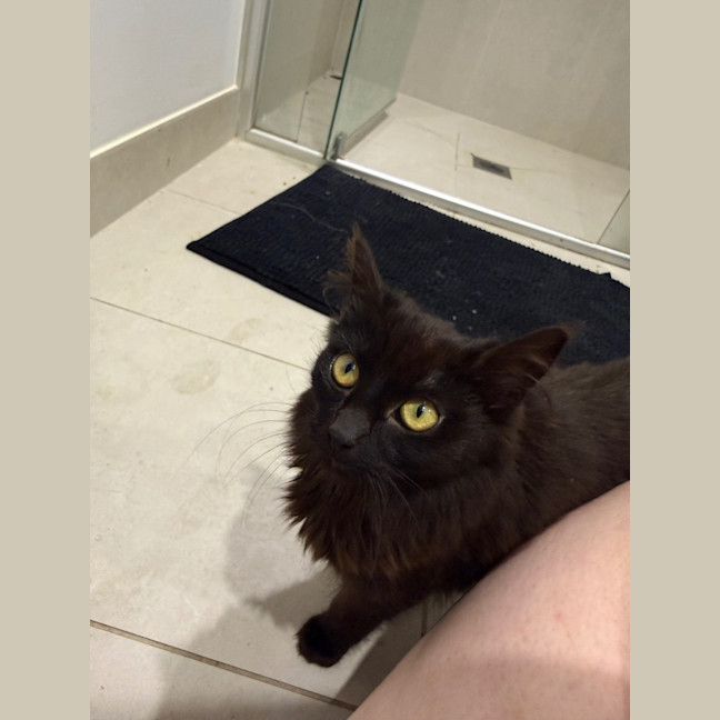 Photo of Dora