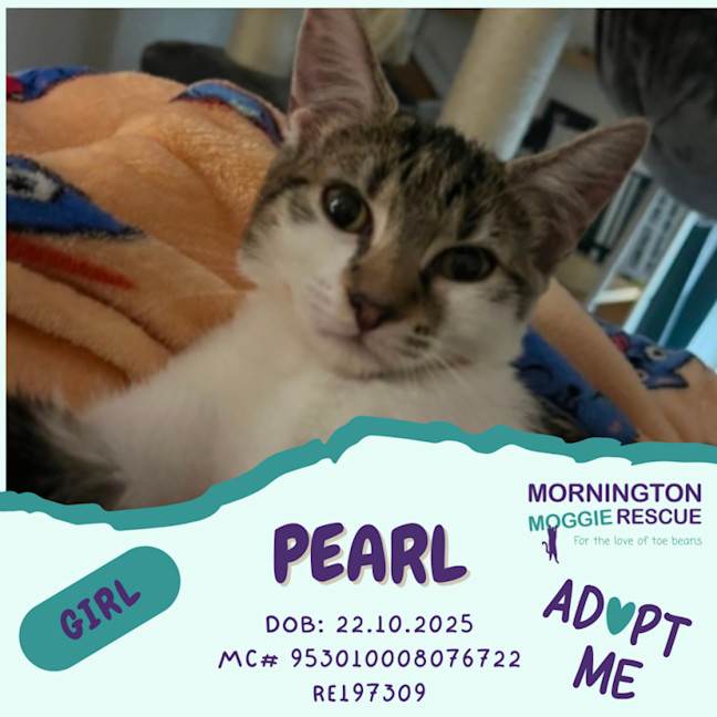 Photo of Pearl